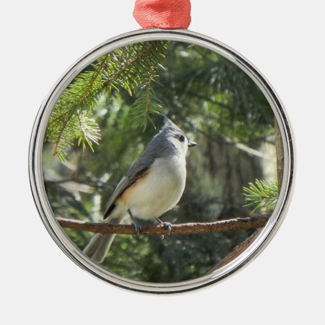 Tufted Titmouse Metal Tree Decoration (Front)
