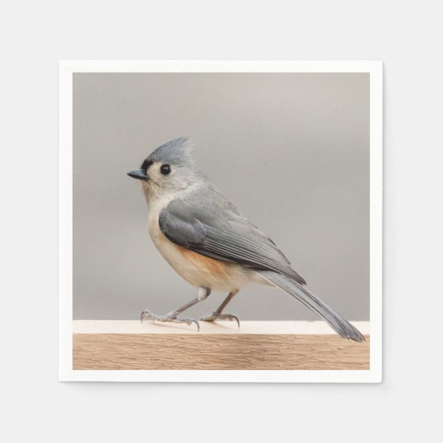 Tufted Titmouse Napkin (Front)