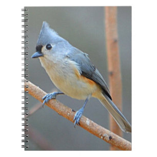 Tufted Titmouse Notebook