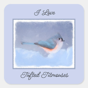 Tufted Titmouse Painting - Original Bird Art Square Sticker