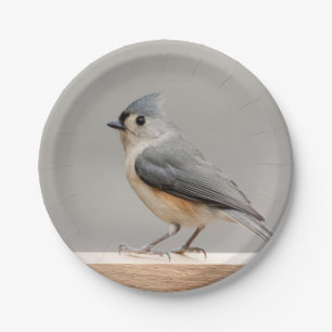 Tufted Titmouse Paper Plate