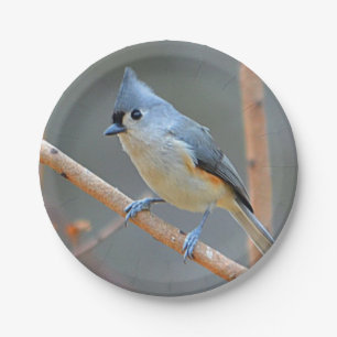 Tufted Titmouse Paper Plate