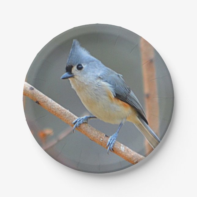 Tufted Titmouse Paper Plate (Front)