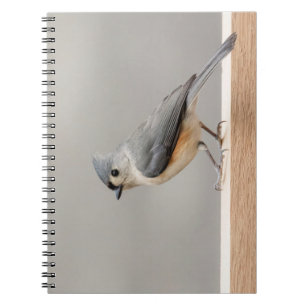 Tufted Titmouse Spiral Notebook