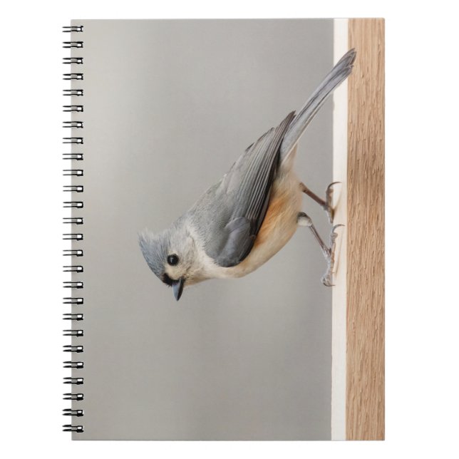 Tufted Titmouse Spiral Notebook (Front)