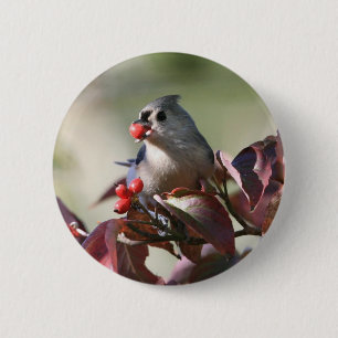 tufted titmouse with berry 6 cm round badge