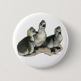 Tufted Toulouse Goslings 6 Cm Round Badge