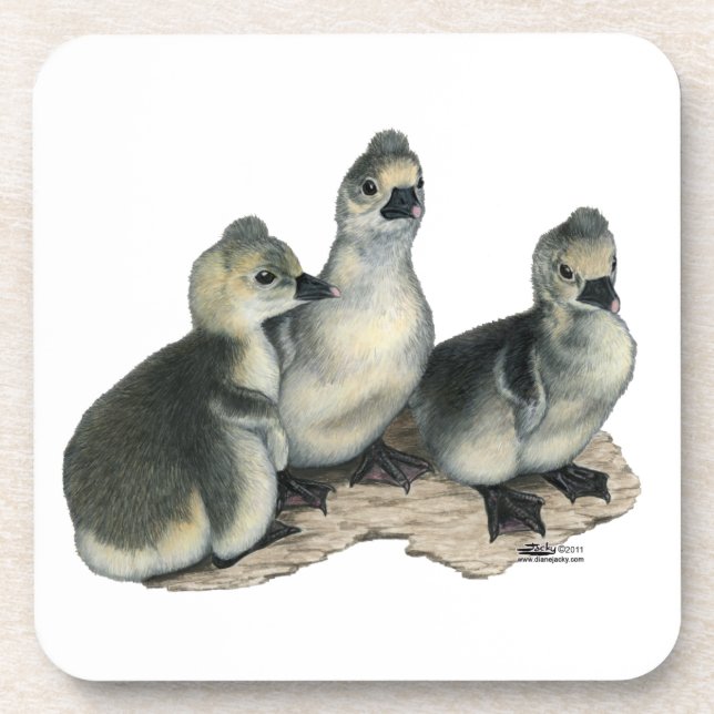 Tufted Toulouse Goslings Coaster (Front)