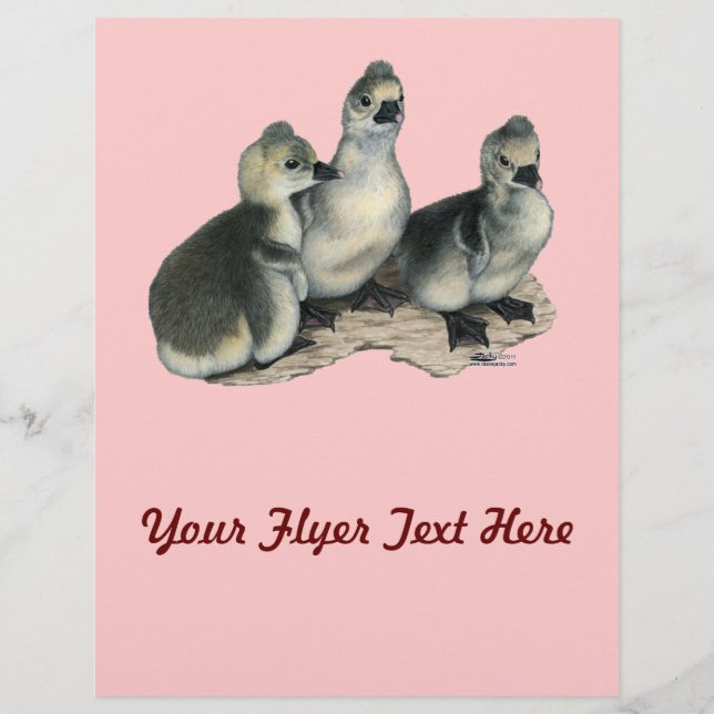 Tufted Toulouse Goslings Flyer (Front)