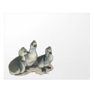 Tufted Toulouse Goslings Notepad