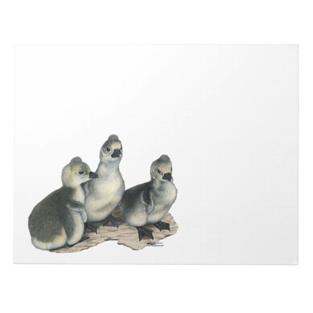 Tufted Toulouse Goslings Notepad (Front)