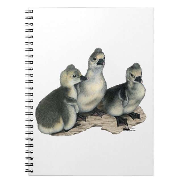 Tufted Toulouse Goslings Spiral Notebook (Front)