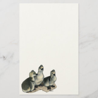 Tufted Toulouse Goslings Stationery