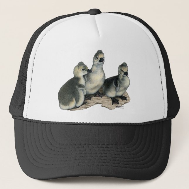 Tufted Toulouse Goslings Trucker Hat (Front)