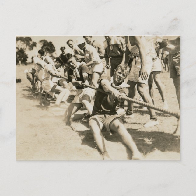 Tug of War Vintage Photo Postcard (Front)