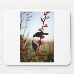 Tui birds on New Zealand flax Mouse Pad