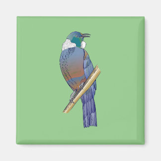 Tui New Zealand Bird Magnet