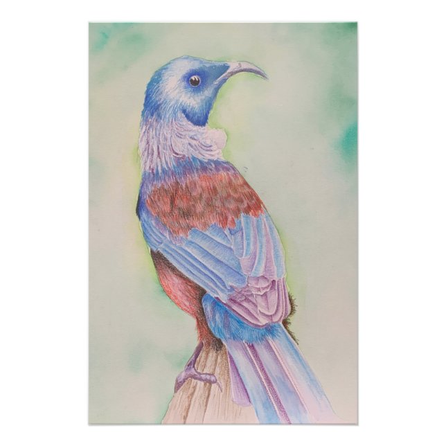 Tui - poster (Front)