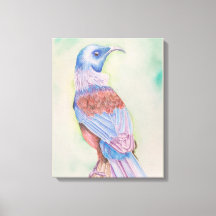 Tui Stretched Canvas Print