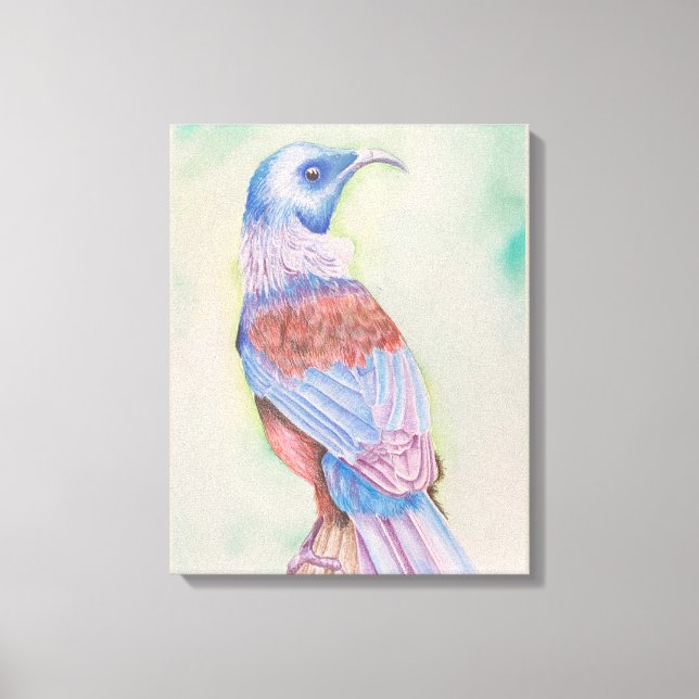 Tui Stretched Canvas Print (Front)