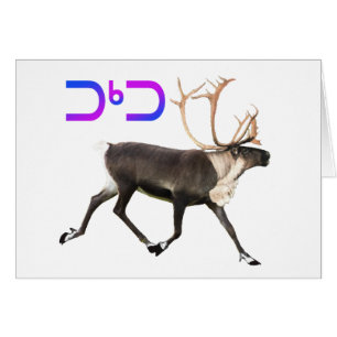 Tuktu - Caribou