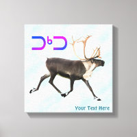 Tuktu - Caribou On Snow