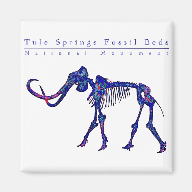 Tule springs fossil beds national monument magnet (Front)