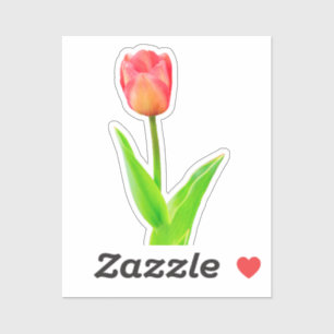tulip