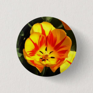 Tulip 3 Cm Round Badge