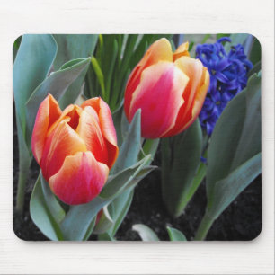 Tulip-A Flower of Love Mouse Pad