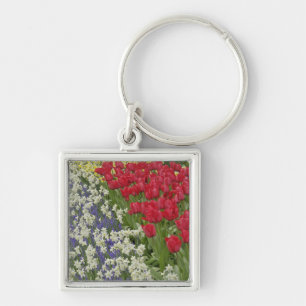 Tulip and daffodil garden, Keukenhof Gardens, Key Ring