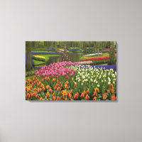 Tulip and hyacinth garden, Keukenhof Gardens,