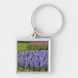 Tulip and Hyacinth garden, Keukenhof Gardens, Key Ring