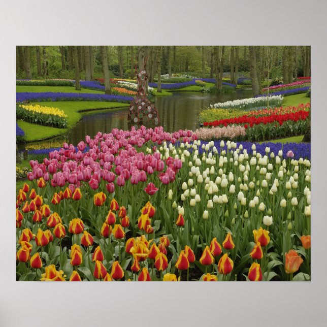 Tulip and hyacinth garden, Keukenhof Gardens, Poster (Front)