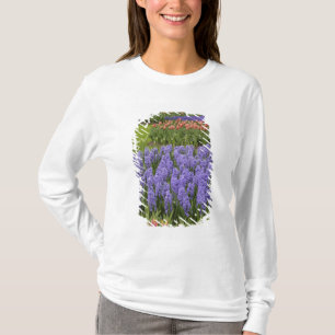 Tulip and Hyacinth garden, Keukenhof Gardens, T-Shirt
