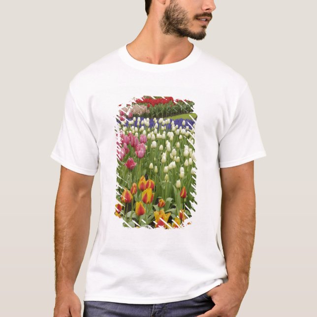 Tulip and hyacinth garden, Keukenhof Gardens, T-Shirt (Front)