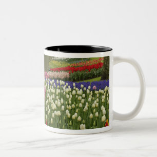 Tulip and hyacinth garden, Keukenhof Gardens, Two-Tone Coffee Mug