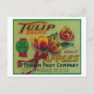 Tulip Apple Crate LabelYakima, WA Postcard