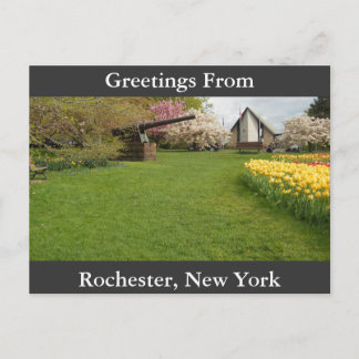 Tulip Beds & Cannon Postcard