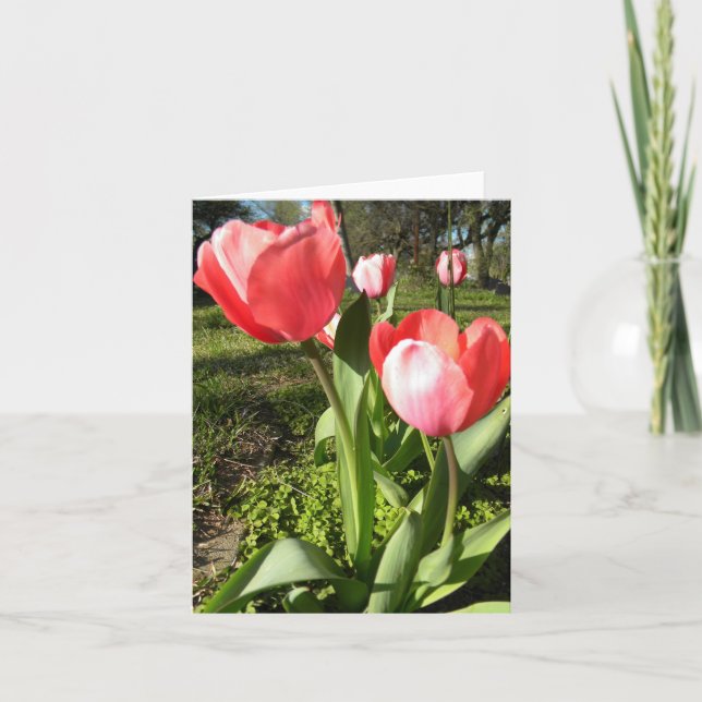 TULIP BLANK NOTE CARD (Front)