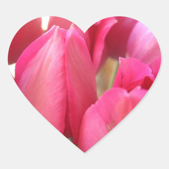 Tulip Bulbs Stickers (Front)