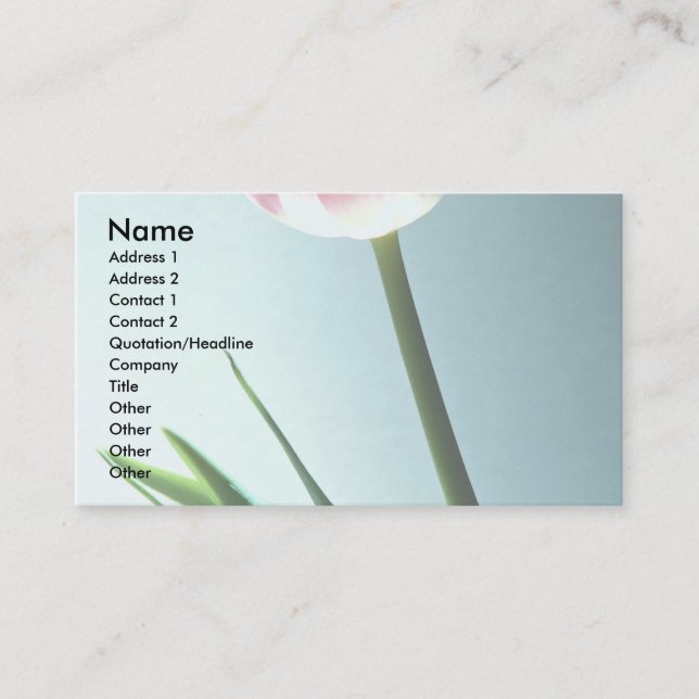 Tulip Business Card (Front)