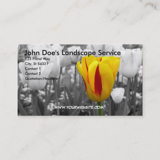 Tulip Business Card (Front)