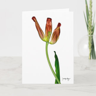 "Tulip" by J. Maya Luz Card