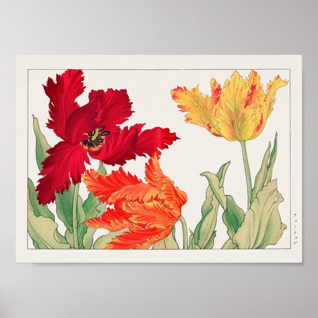 Tulip by Tanigami Konan Poster (Front)