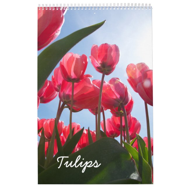 Tulip calendar (Cover)