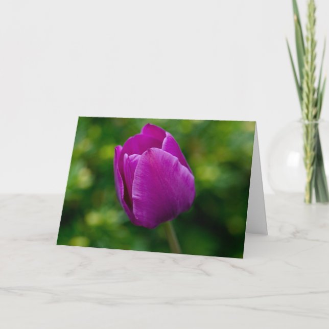 Tulip Card (Front)
