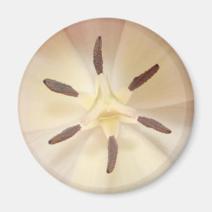Tulip Centre Magnet