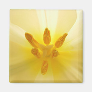 Tulip Centre Magnet