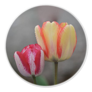Tulip Ceramic Knob